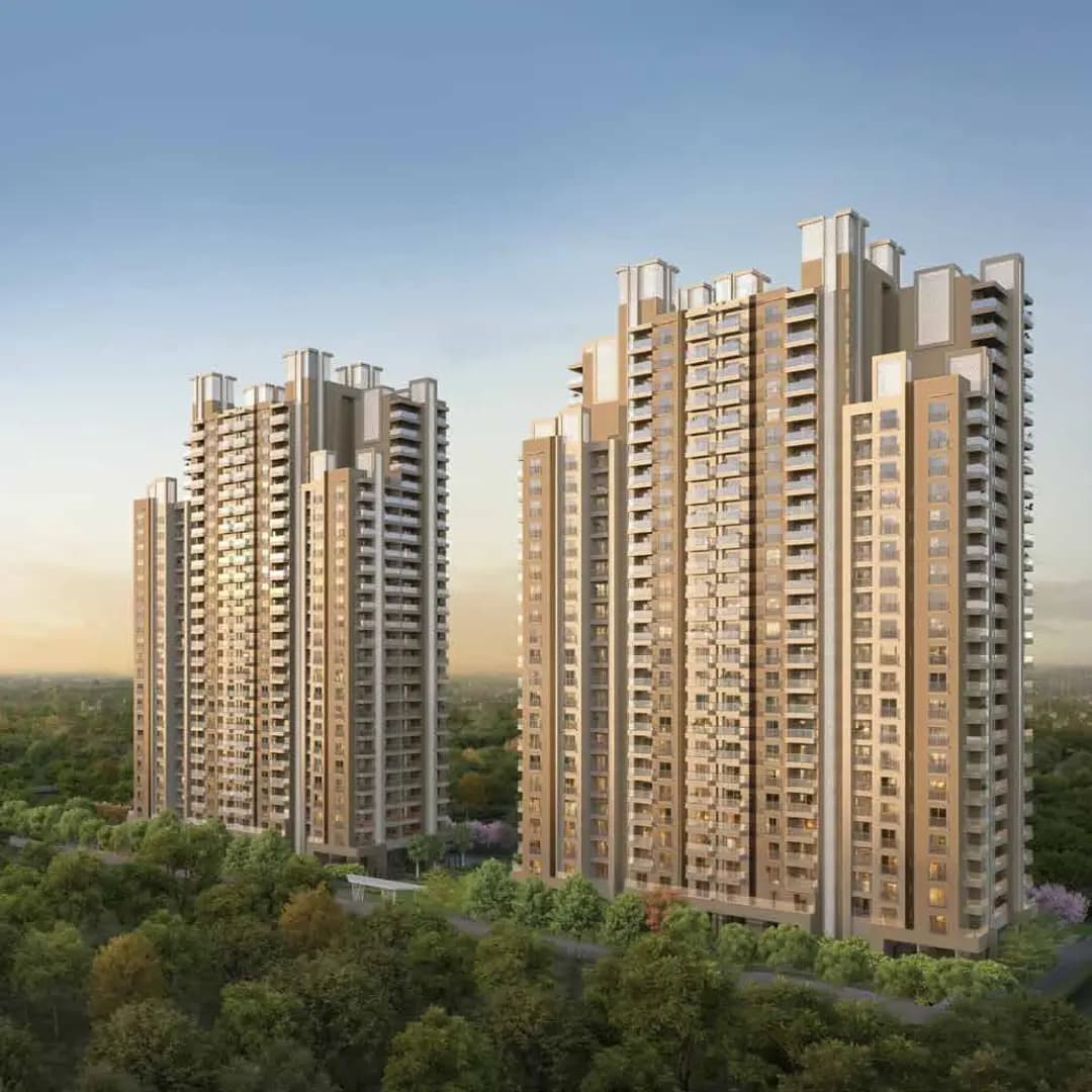 Mulberry Moments Sohna