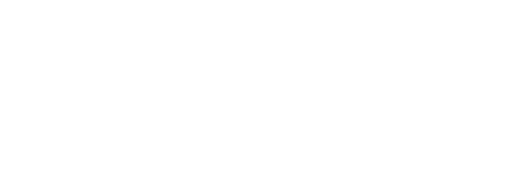 Trinity Sky Palazzos